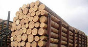 Томский деревоперерабатывающий комбинат предлагает к поставке 
